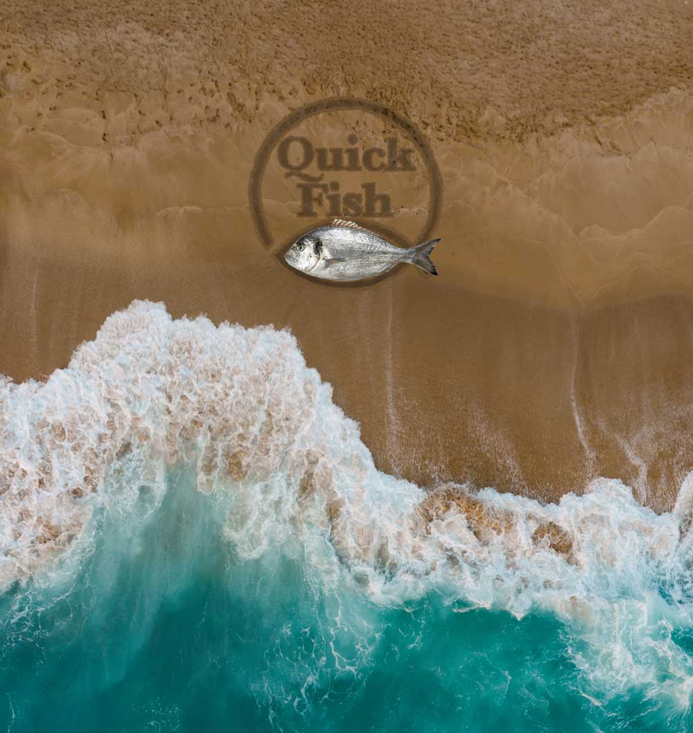 Teaser annonce Quick fish DZ